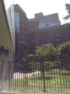 Bellevue Hospital
